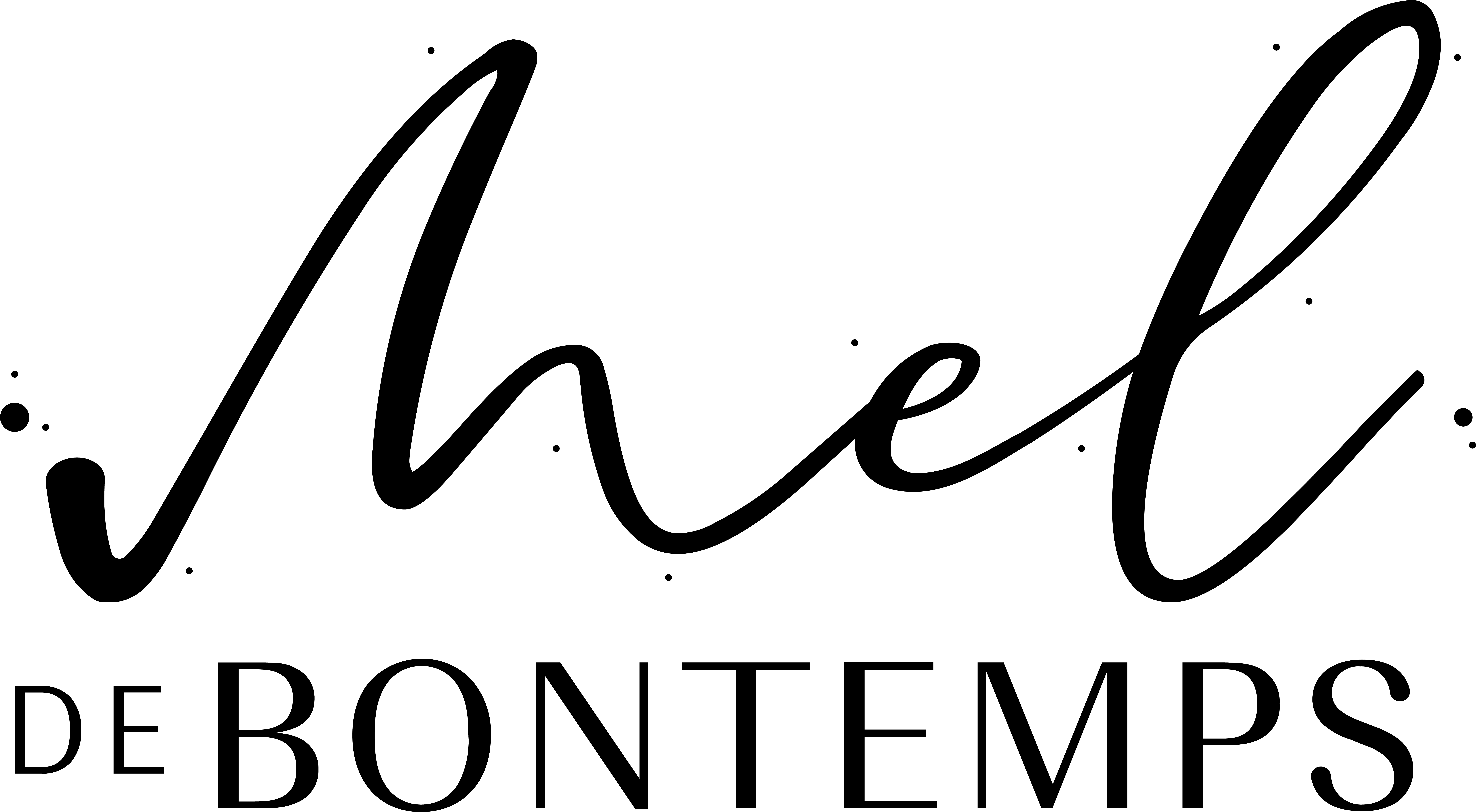 mel logonoir logo Mel de Bontemps