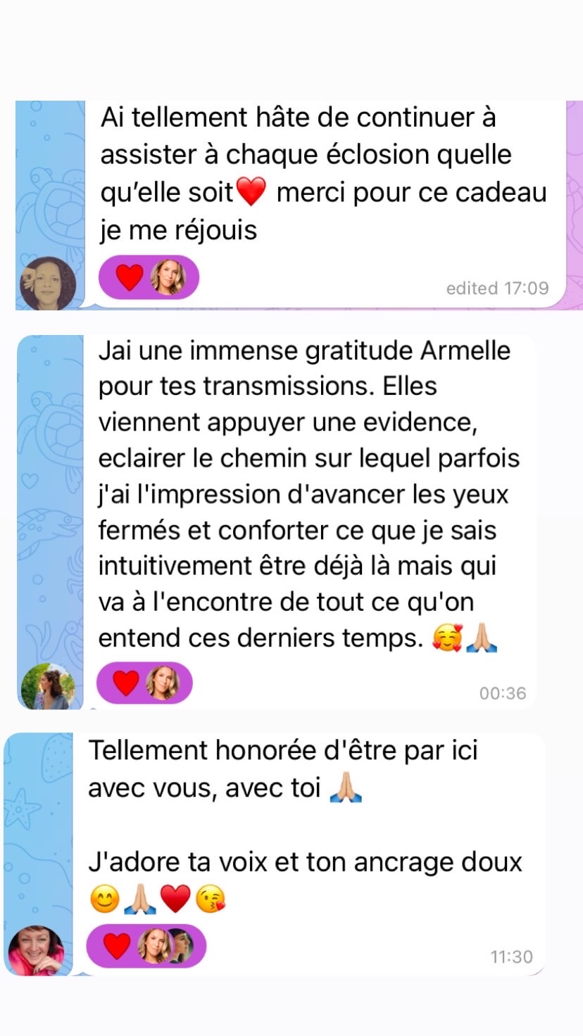 coaching france coach de vie coach francaise coach holistique coach spirituelle coach armelle bontemps costa rica