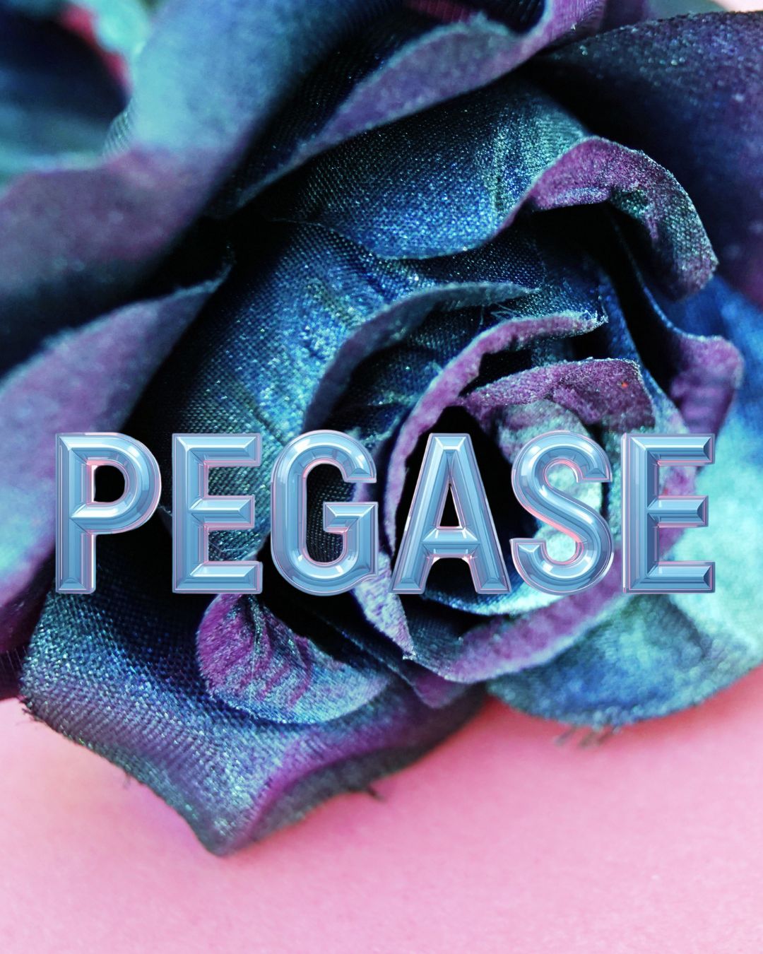 PEGASE n’est pas un programme. C’est un compagnonnage sur 3 ou 6 mois pour : retrouver un lien vivant, incarné, libre avec Dieu développer l’écoute du Saint-Esprit comme intelligence intérieure apprendre à voir la vie autrement : au-delà des peurs, des conditionnements, des anciens récits sortir des cadres ordinaires de pensée, de décision, d’identité reprendre accès à la puissance du divin déjà présente en toi